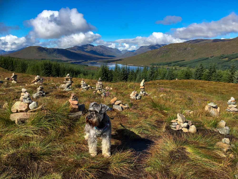 dog friendly thru hikes