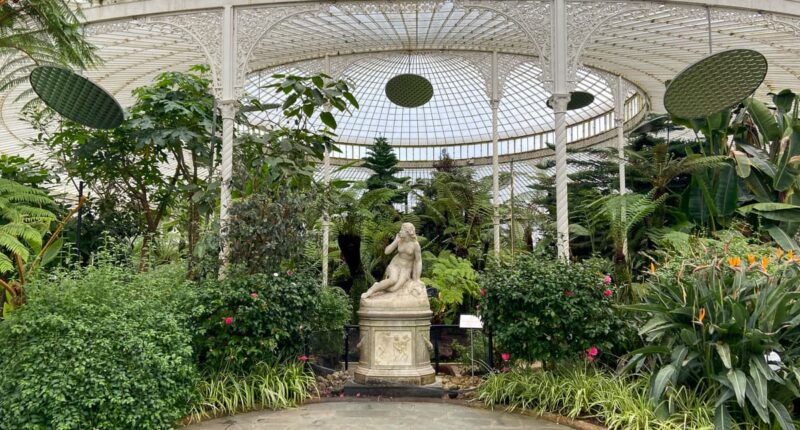 Glasgow Botanics Glasshouse (credit - Erin Meek from the Absolute Escapes team)