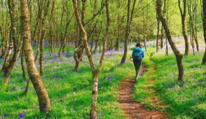 Walker on the West Highland Way