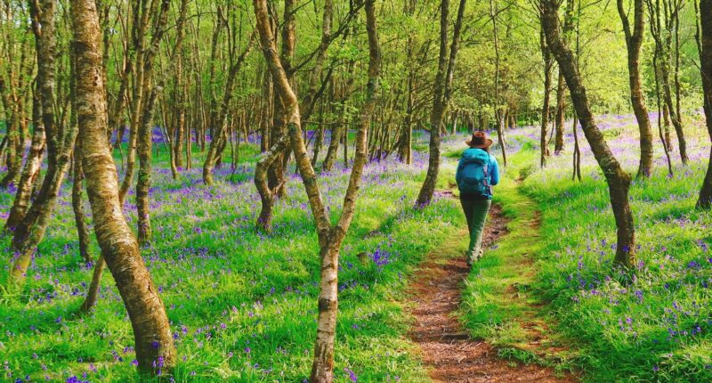 Walker on the West Highland Way