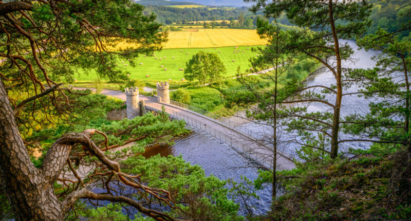 Craigellachie Bridge