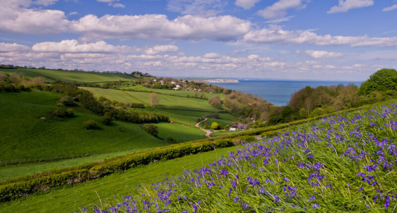 Culver from above Luccombe (Credit - Visit Isle of Wight)