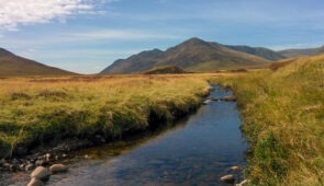 Scenery near Kincraig
