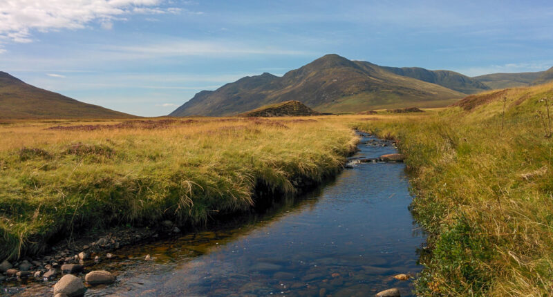 Scenery near Kincraig