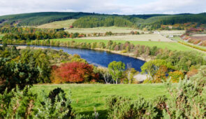 Views of the River Spey
