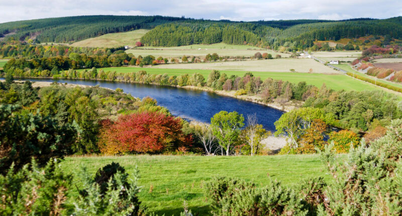 Views of the River Spey