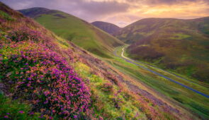 Header-clad hills near Wanlockhead (credit - Damian Shields, VisitScotland)