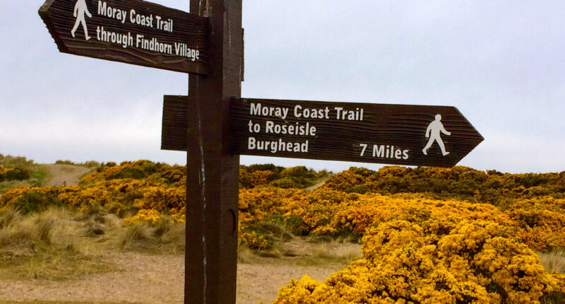 Coastal Moray Way waymarker