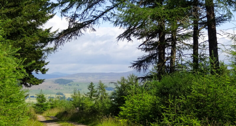 Highland Scenery on the Rob Roy Way