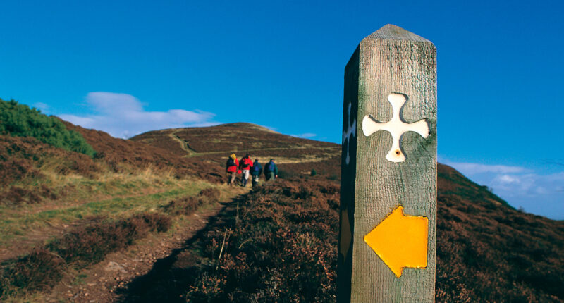 St Cuthbert's Way waymarker