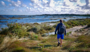 Stiffkey Saltmarshes near Wells-next-the-Sea