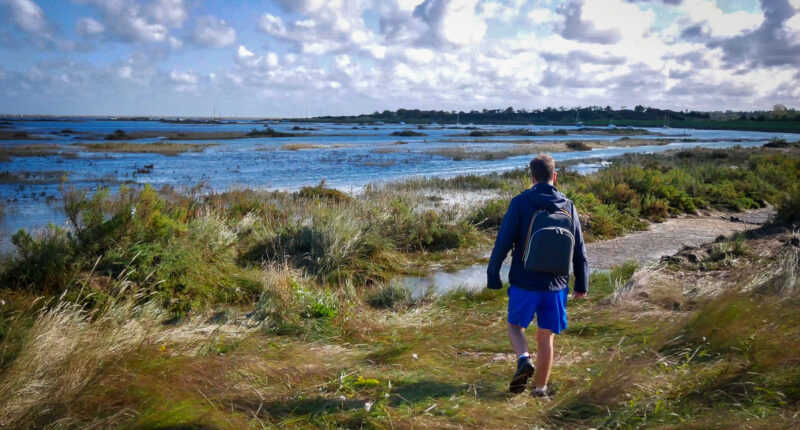 Stiffkey Saltmarshes near Wells-next-the-Sea