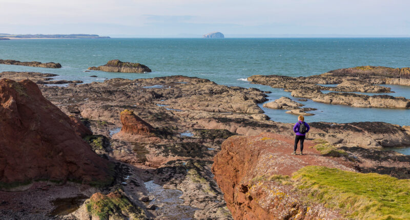 The coastline near Dunbar