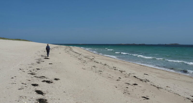 An Absolute Escapes client walking on the beach in Guernsey (credit - Andrew Bond)