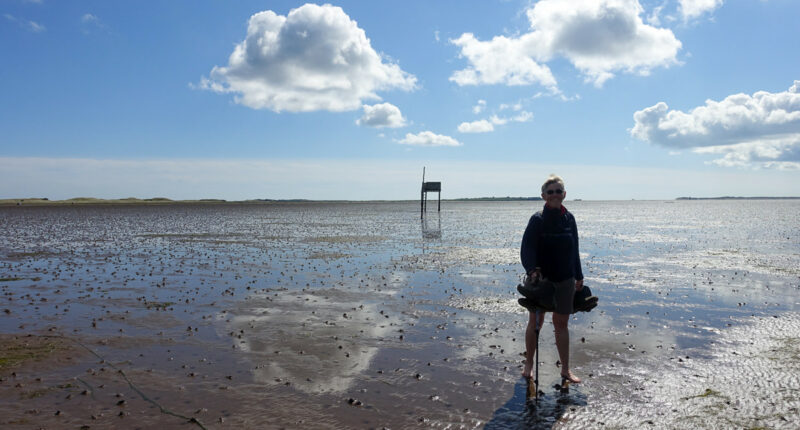 Our client walking across the Pilgrim's Path to Holy Island at low tide (credit - Mari Leijo)