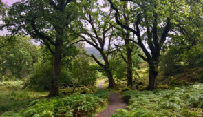 The Kerry Way from Killarney to Black Valley