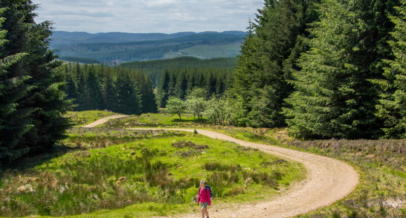 An Absolute Escapes client walking from Kirkmichael to Spittal of Glenshee (credit - Peter Backhouse)