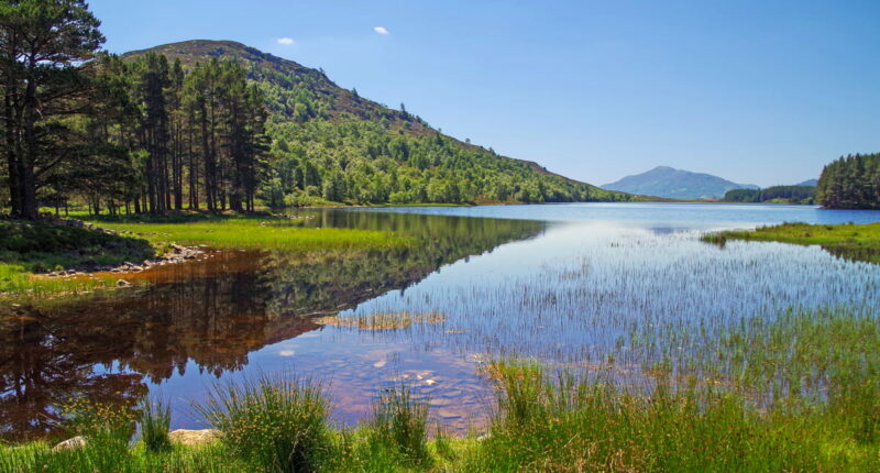 Views over Loch Gynack