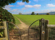 Cotswold Way Path