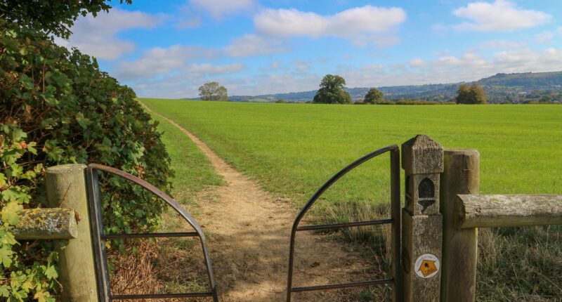 Cotswold Way Path