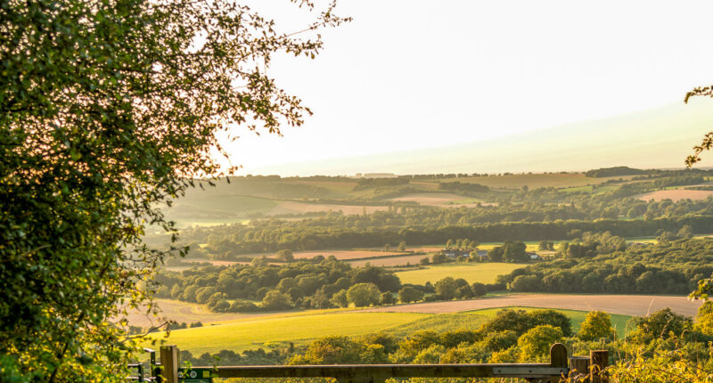 South Downs Way scenery near Winchester