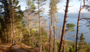 The high route on the Great Glen Way