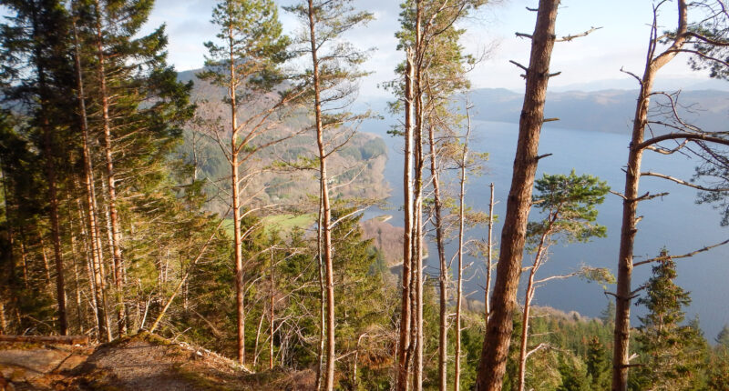 The high route on the Great Glen Way