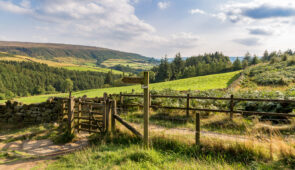 View across the North York Moors