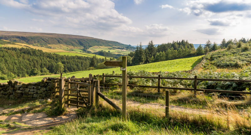 View across the North York Moors