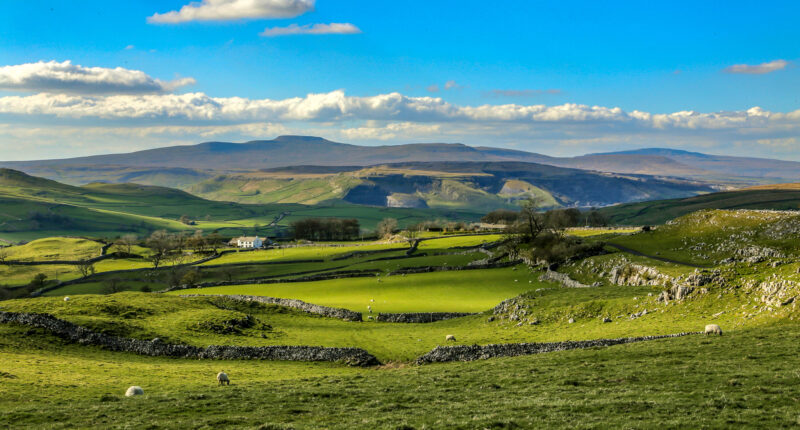 Landscape in the Yorkshire Dales