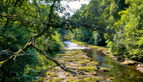 Riverside views on the Cateran Trail