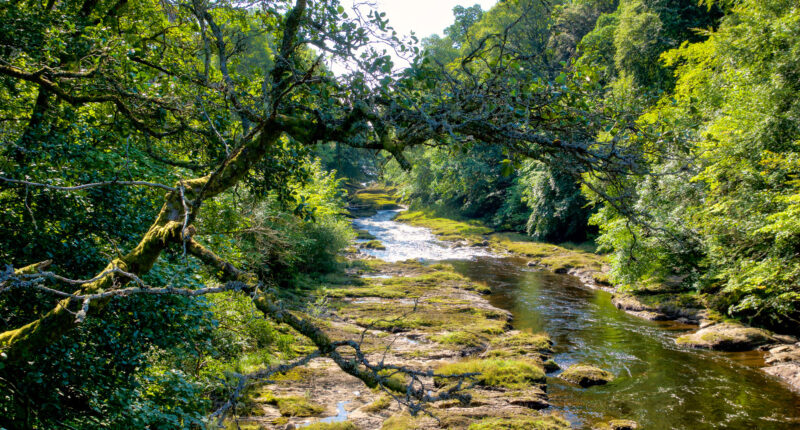 Riverside views on the Cateran Trail