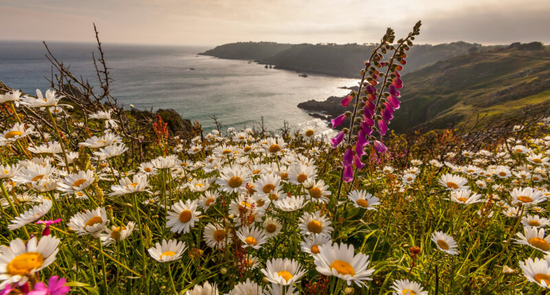 The south coast cliffs of Guernsey