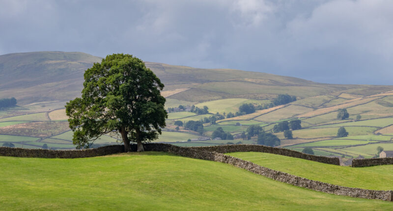 View of rolling hills near Hawes