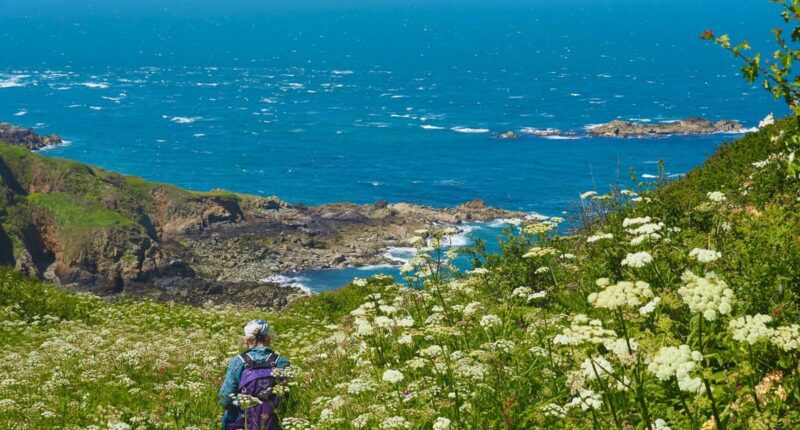 Walking through wildflowers on the Guernsey Coastal Path (credit - Andrew Bond)