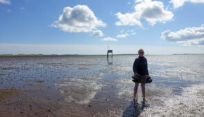 On the Pilgrim's Path to Lindisfarne