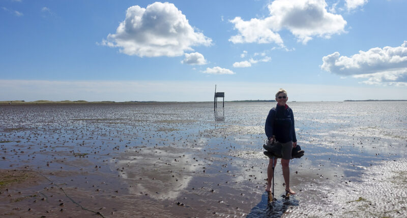 On the Pilgrim's Path to Lindisfarne