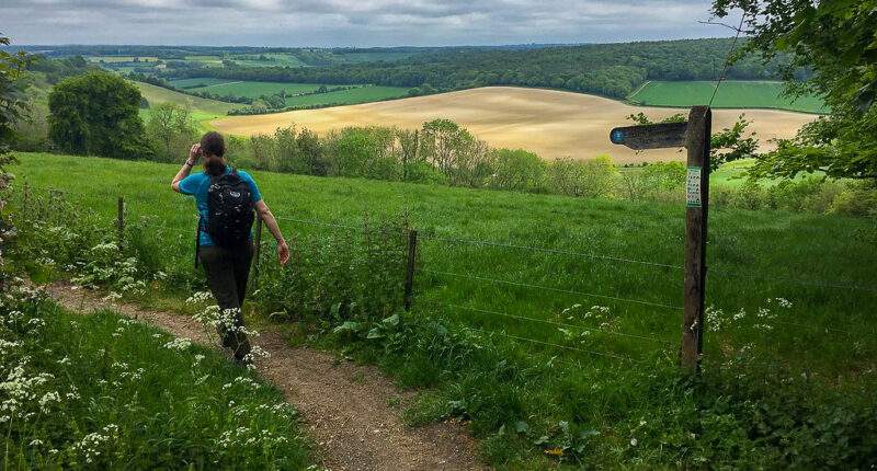 South Downs Way waymarker