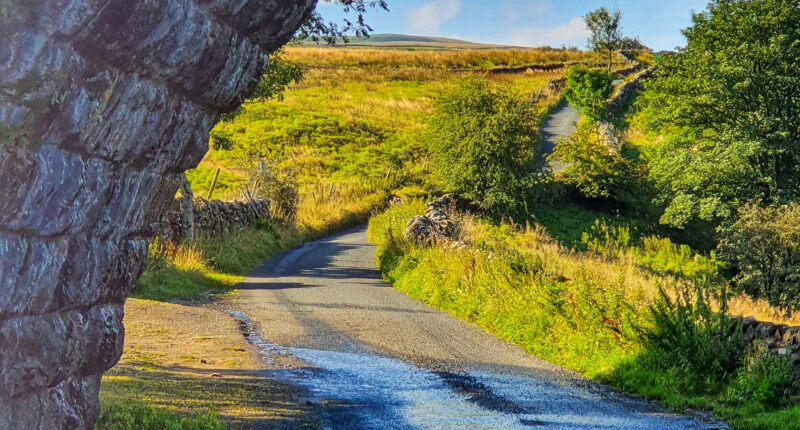 The Herriot Way near Hawes