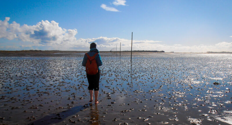 Walking across the Pilgrim's Path to Holy Island at low tide (Credit - Mari Leijo)