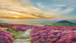 North York Moors at sunset (credit - Thomas Heaton, VisitEngland)