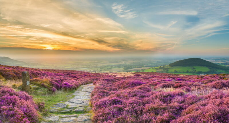 North York Moors at sunset (credit - Thomas Heaton, VisitEngland)