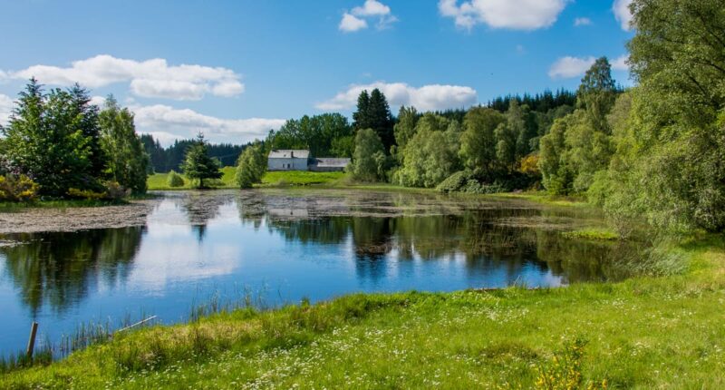 Scenery on the Cateran Trail (credit - Peter Backhouse)