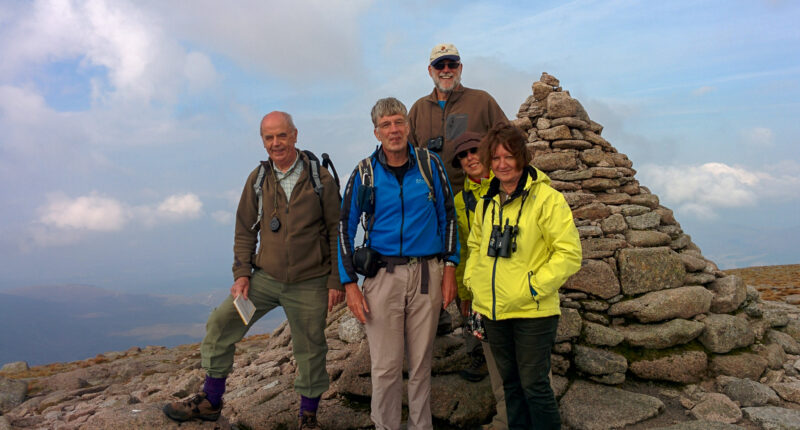 Absolute Escapes walkers