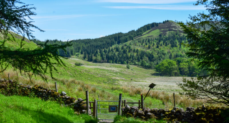 Glenny Hill on the Rob Roy Way