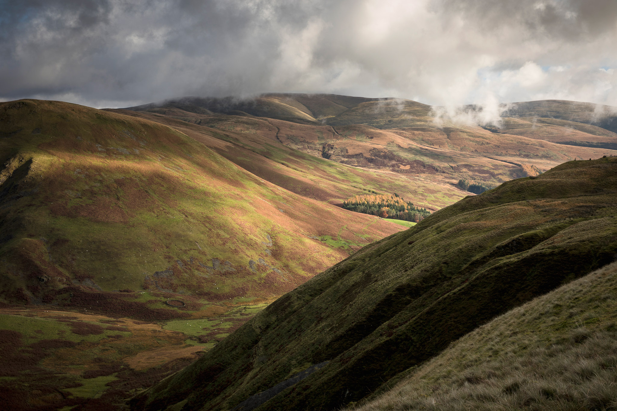 Southern Upland Way Walking Holidays 2023 & 2024