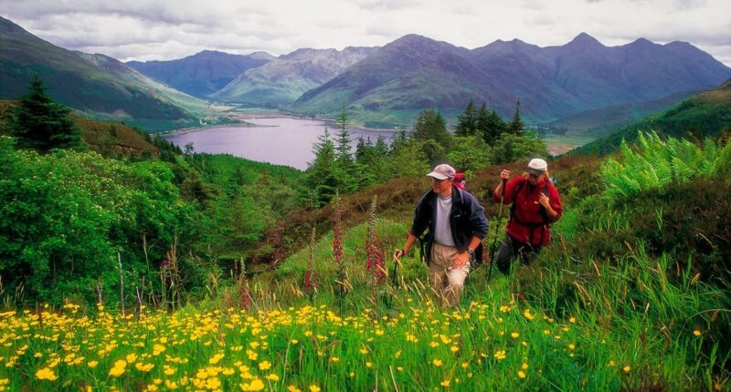 Walkers on the Great Glen Way