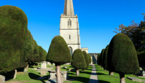 Yew Trees in St Mary's Churchyard in Painswick