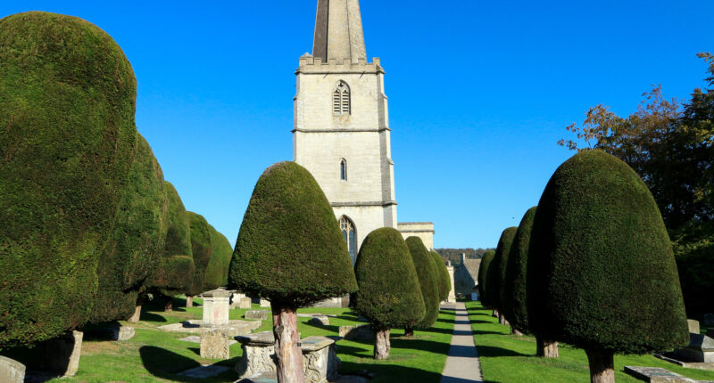 Yew Trees in St Mary's Churchyard in Painswick