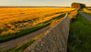 Fenham Fields